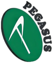 Logo Pegasus